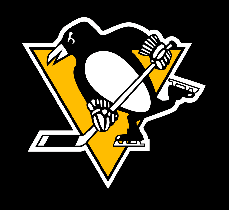 Pittsburgh Penguins 2014-2016 Throwback Logo iron on transfers for fabric